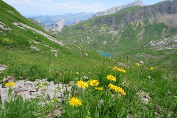 Alpenkranz 5. Etappe: Eggberge - Schön Chulm -. Lidernenhütte