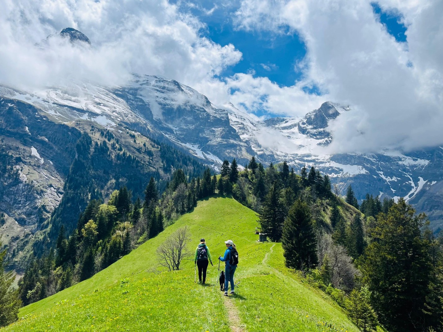 WhatsApp Bild 2025-05-24 um 16