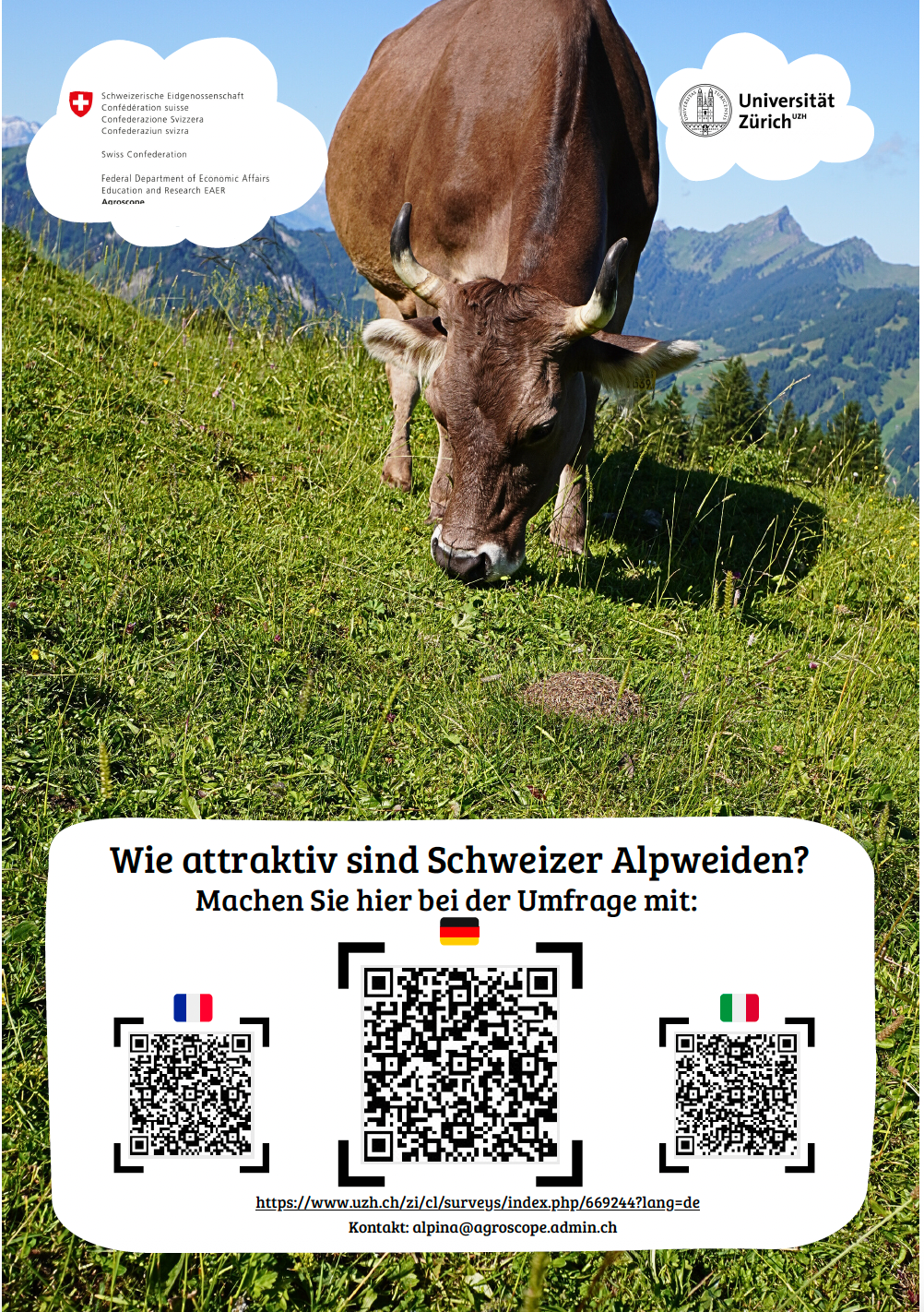 Bildschirmfoto 2026-01-16 um 11