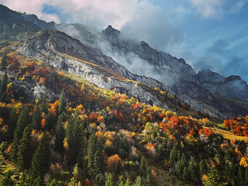 FDC35F1B-4906-4D3F-970C-2CF2B2D65A32_1_105_c