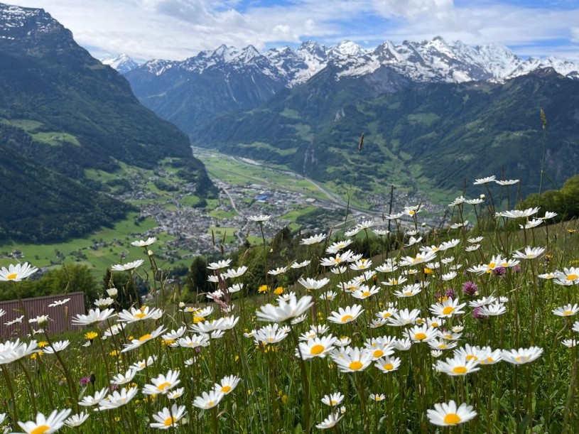 14668936-79CE-4E78-B790-BA9824DB77E8_1_105_c