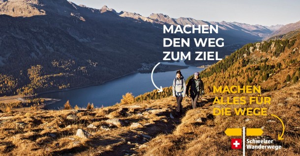 SWW_1200x628px_Weg-zum-Ziel