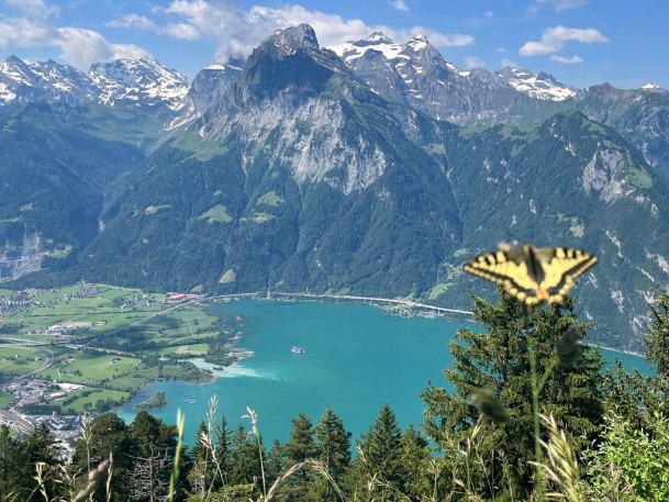 97F5DEEC-9E29-4F32-B827-F709CFB9F0B3_1_105_c