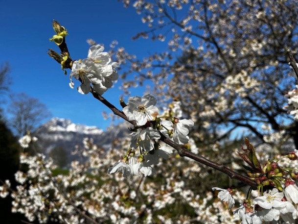 223E8D79-1538-4FAE-9030-2ED3B9C50791_1_105_c