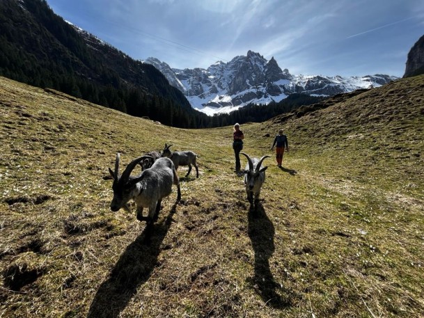 645AAB83-6BF5-4EA5-B66B-A31CCD9561FB_1_105_c