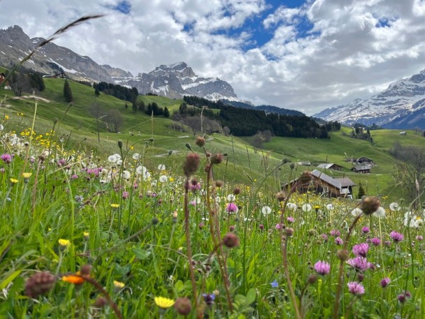 B59AF1CE-00AB-41B7-BA6D-8340388F99EA_1_105_c