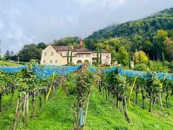 Weinwanderung_RebbergKapuzinerkloster