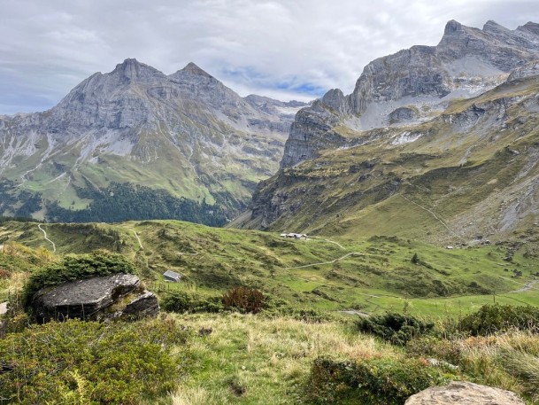 3DD2173A-0DBA-4D1B-9459-B7609B5CEC04_1_105_c