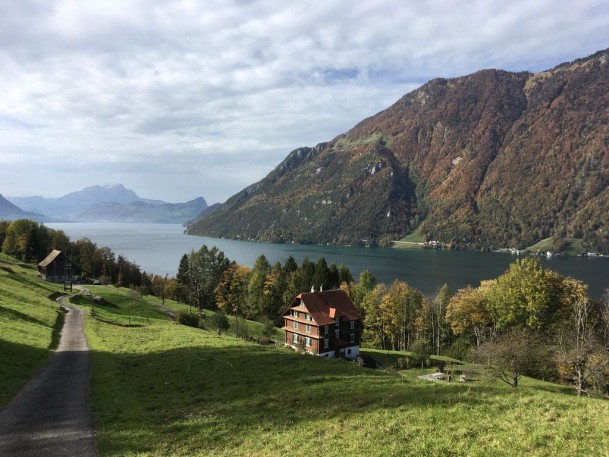 299692D1-4594-4936-96E0-D7FD0BD8B291_1_105_c