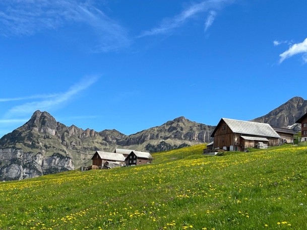 0C8A5395-7843-4A22-818E-C632B6FCB653_1_105_c