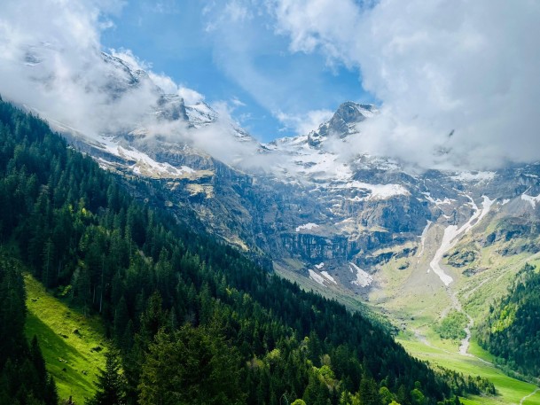 WhatsApp Bild 2025-05-24 um 16