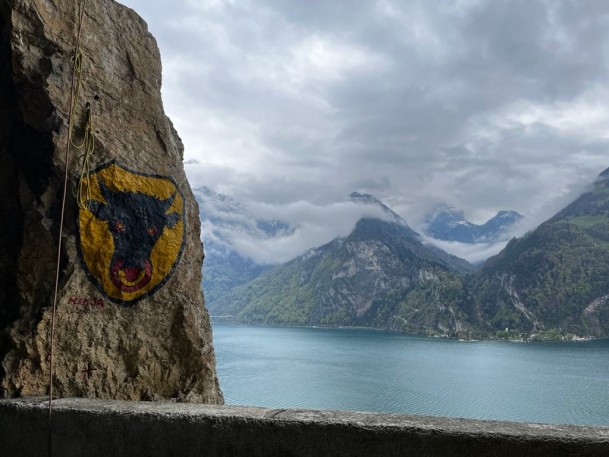 2D0BF943-5D6A-4DA3-8763-1737D4E95C7D_1_105_c