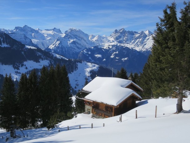 7195A7B2-C306-4537-B5E0-655CB26844D5_1_105_c