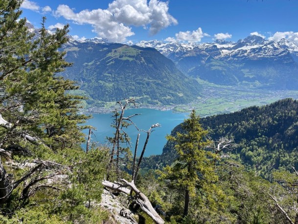 6AD2F4FA-A6CA-498E-8766-332A7B1F4674_1_105_c