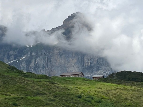 2486FDDF-16A7-480C-8784-9C4AD060C886_1_105_c