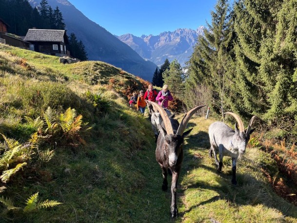 B6D75E5C-EFCB-431B-AA0B-3A2BF734A5C1_1_105_c