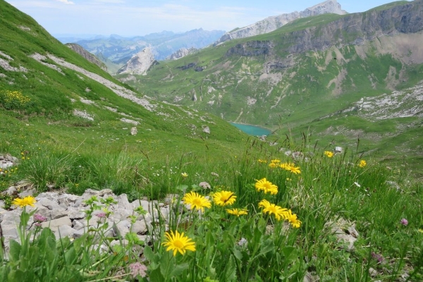 Alpenkranz 5. Etappe: Eggberge - Schön Chulm -. Lidernenhütte