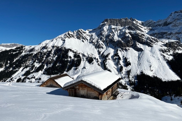 548571ED-BF62-47C5-83CA-30AD310C1135_1_105_c