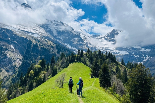 WhatsApp Bild 2025-05-24 um 16