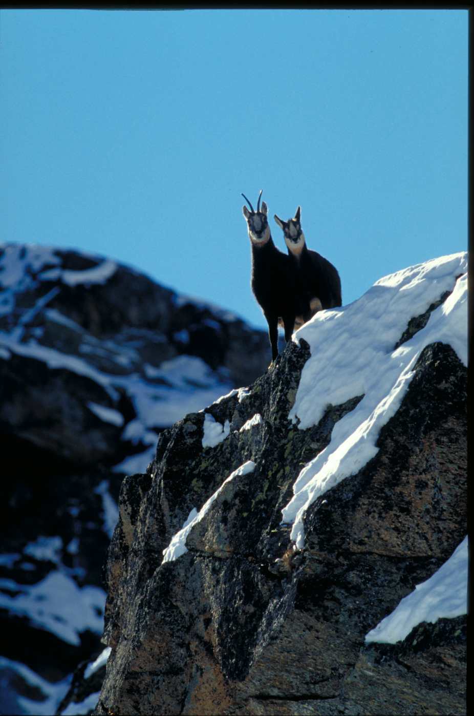 Bildschirmfoto 2026-01-16 um 11