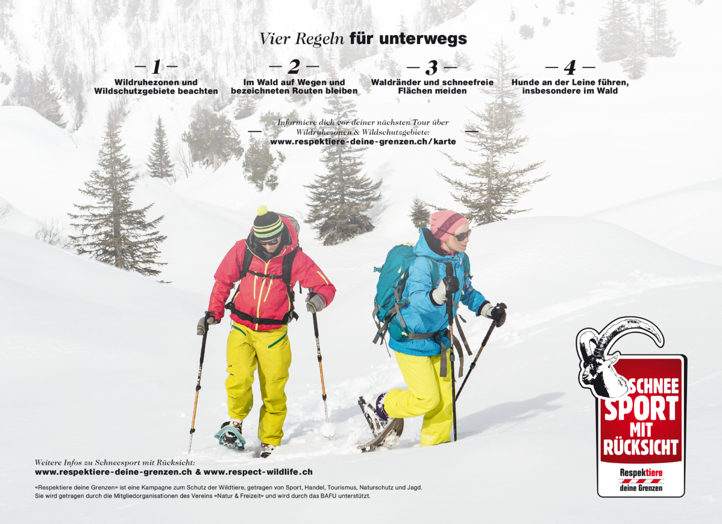 Bildschirmfoto 2026-01-16 um 11